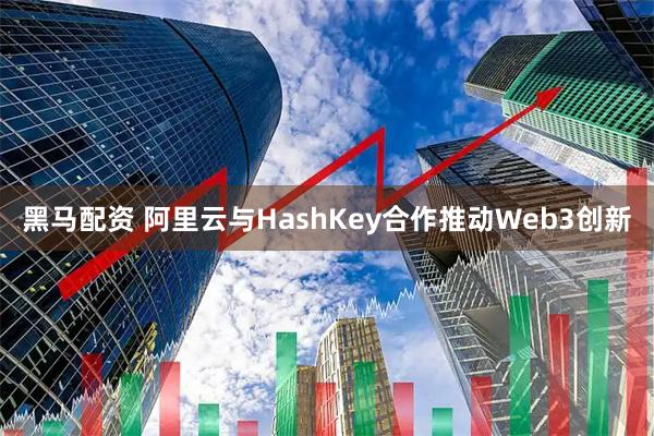 黑马配资 阿里云与HashKey合作推动Web3创新
