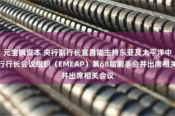 元宝枫资本 央行副行长宣昌能主持东亚及太平洋中央银行行长会议组织（EMEAP）第68届副手会并出席相关会议