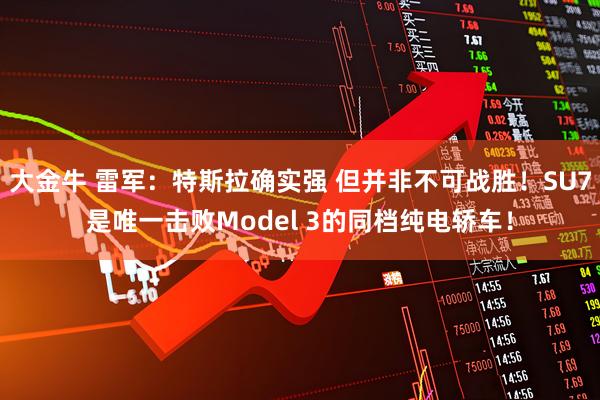 大金牛 雷军：特斯拉确实强 但并非不可战胜！SU7是唯一击败Model 3的同档纯电轿车！