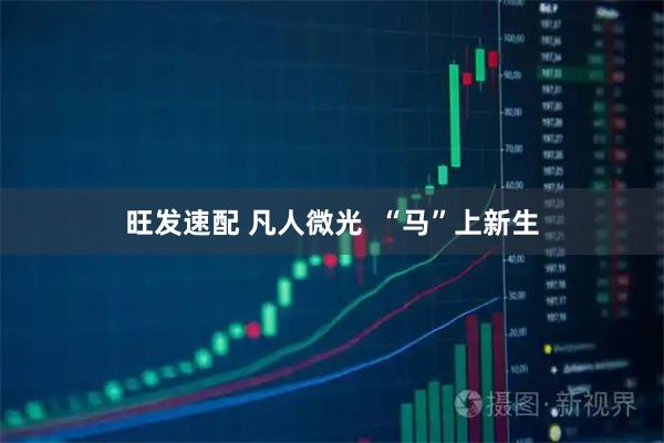 旺发速配 凡人微光  “马”上新生