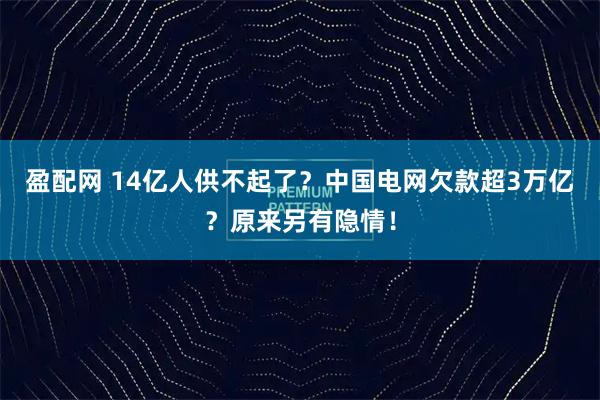 盈配网 14亿人供不起了？中国电网欠款超3万亿？原来另有隐情！
